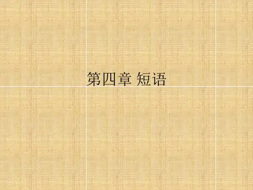 现代汉语语法第四章