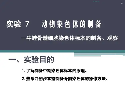 实验动物染色体标本的制备