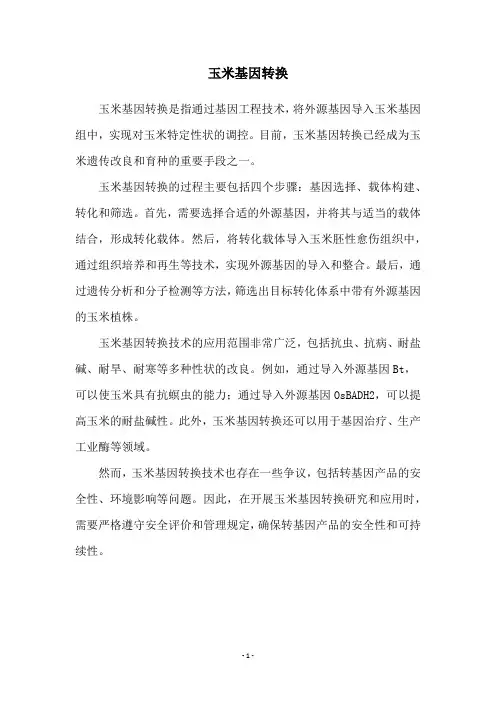 玉米基因转换