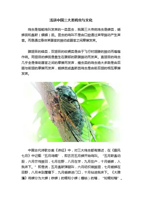浅谈中国三大类鸣虫与文化