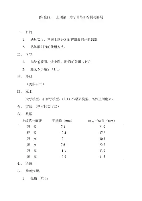 四上颌第一磨牙的外形绘制与雕刻