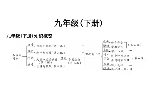 初中毕业道德与法治总复习精讲 第一篇 考点梳理 固本夯基 九年级(下册) 第一单元 我们共同的世界