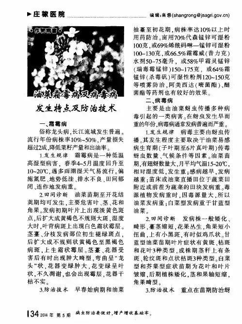 油菜霜霉病及病毒病发生特点及防治技术