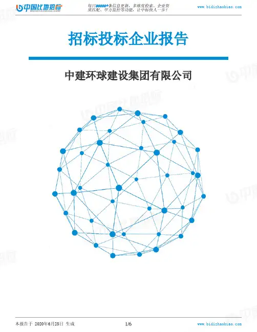 中建环球建设集团有限公司-招投标数据分析报告