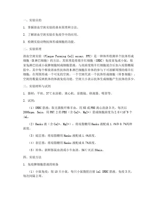 溶血空斑实验报告