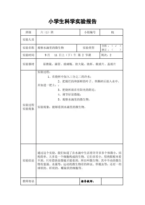 《观察水滴里的微生物》实验报告