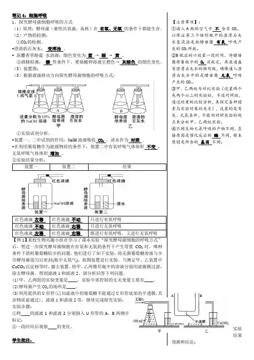 知识点4：细胞呼吸--2022届高考生物大一轮复习笔记