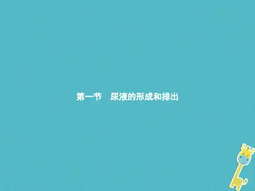 七年级生物下册3.4.1尿液的形成和排出课件新版济南版