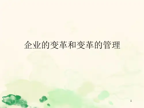 企业的变革和变革的管理(PPT376页)