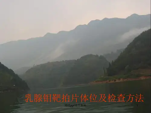 乳腺钼靶拍片体位及检查方法PPT课件