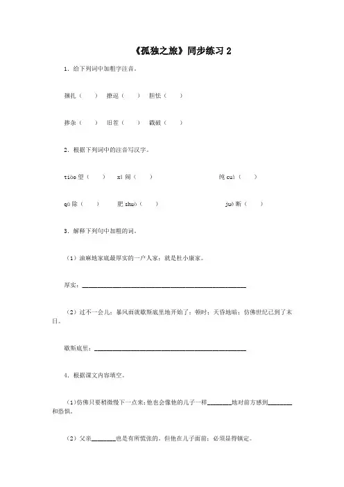 九年级语文《孤独之旅》练习题及答案