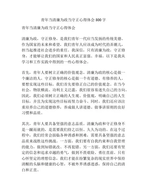 青年当清廉为政当守正心得体会800字