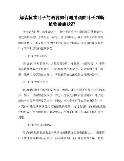 解读植物叶子的语言如何通过观察叶子判断植物健康状况