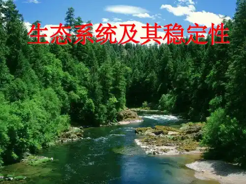 《生态系统概述》PPT课件