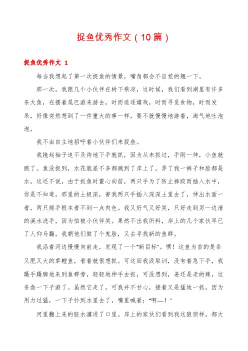 捉鱼优秀作文(10篇)