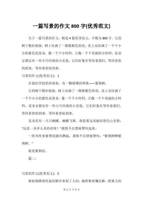 一篇写景的作文800字(借鉴范文)