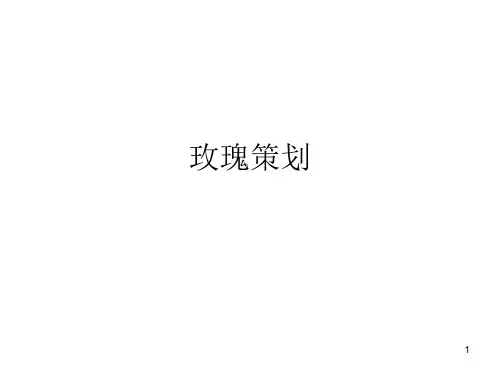 玫瑰市场的营销策划书PPT课件