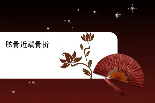 肱骨近端骨折【52页】_204
