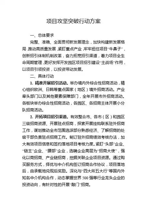 项目攻坚突破行动方案
