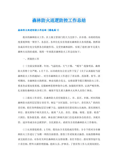 森林防火巡逻防控工作总结