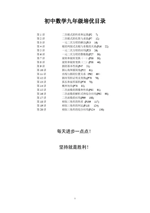 精华篇初中数学九年级培优教程整理全