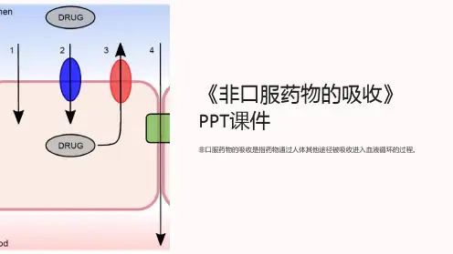 《非口服药物的吸收》课件