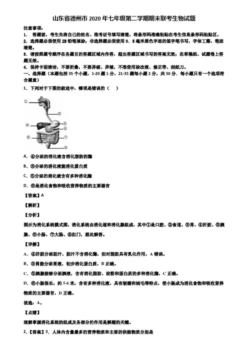 山东省德州市2020年七年级第二学期期末联考生物试题含解析