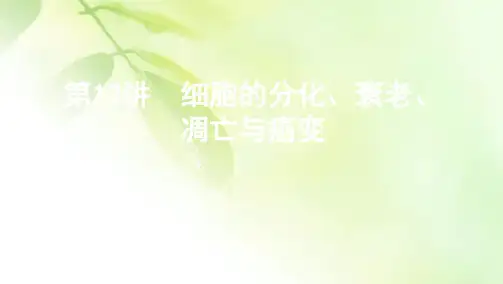 2021版新高考1版生物一轮课件：第4单元 第12讲 细胞的分化、衰老、凋亡与癌变