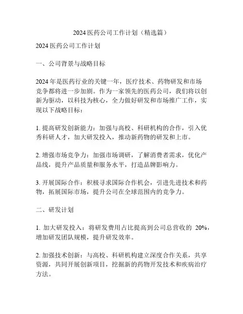 2024医药公司工作计划(精选篇)