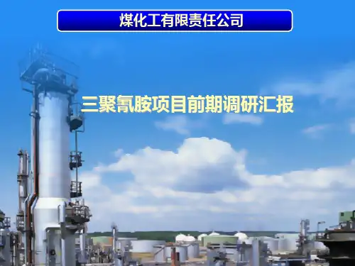 三聚氰胺项目可研汇报