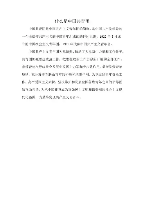 什么是中国共青团