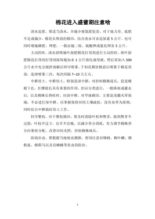 棉花进入盛蕾期注意啥