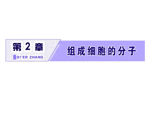 第3节  细胞中的糖类和脂质