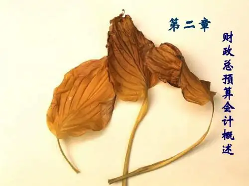 财政总预算会计概述1