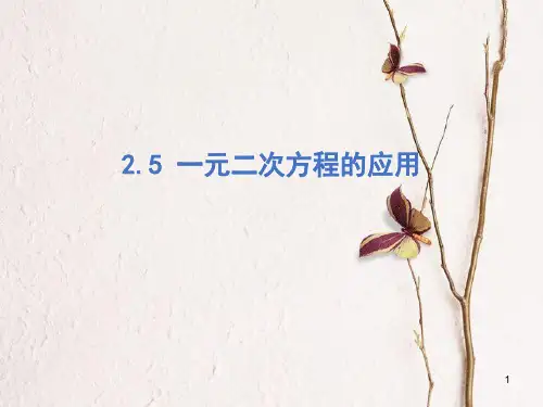 九年级数学上册 第2章 一元二次方程 2.5 一元二次方程的应用课件 (新版)湘教版.pptx
