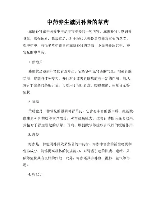 中药养生滋阴补肾的草药