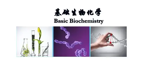5.2 生物膜的结构与功能 