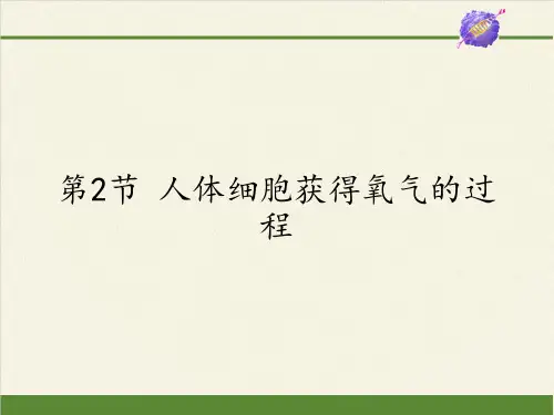 北师大版初中生物七年级下册课件-4.10.2 人体细胞获得氧气的过程13