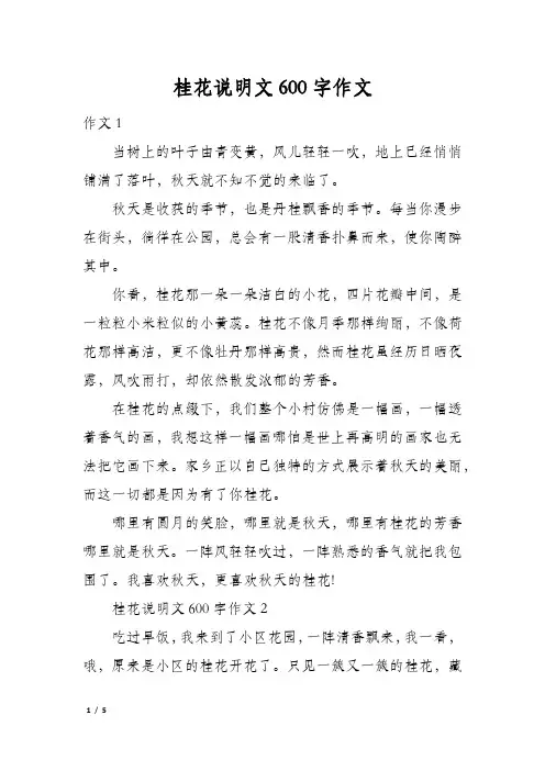 桂花说明文600字作文