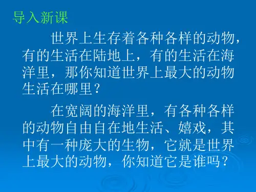 《鲸》ppt课件
