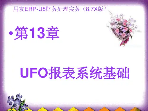 UFO报表系统实训
