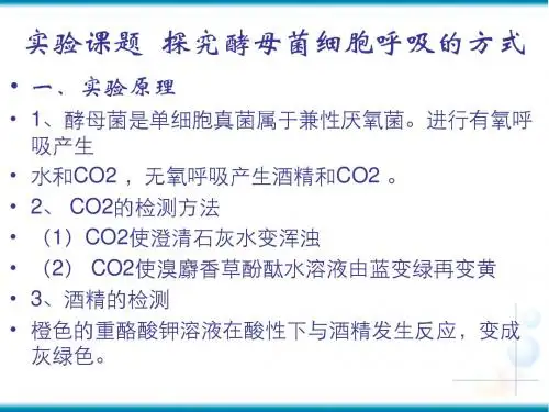 探究酵母菌的呼吸方式实验