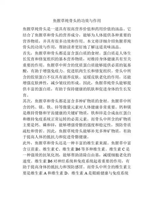 鱼腥草炖骨头的功效与作用