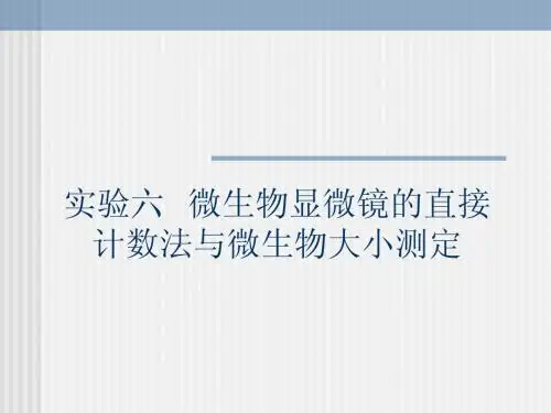 实验六  微生物显微镜的直接计数法与微生物大小测定
