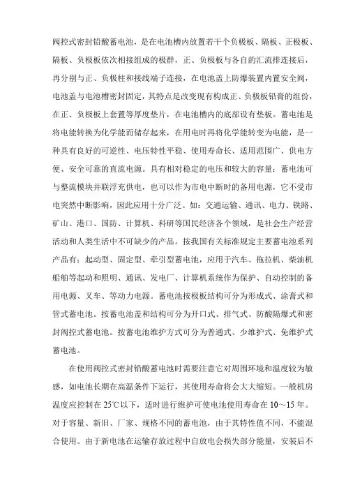 阀控式密封铅酸蓄电池1