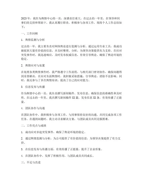 舆情中心个人工作总结