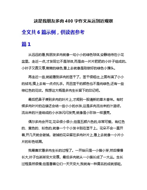 这是我朋友多肉400字作文从远到近观察