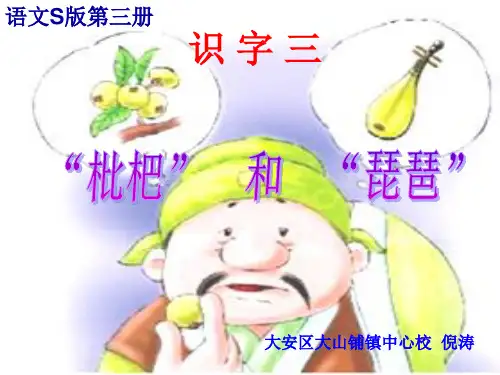 枇杷和琵琶PPT课件