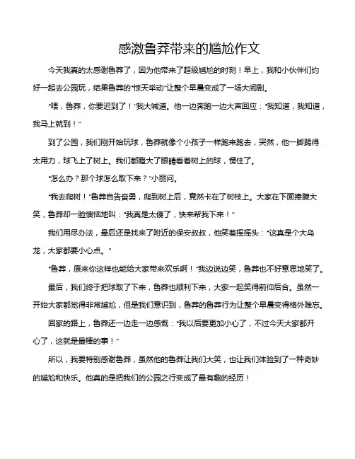感激鲁莽带来的尴尬作文