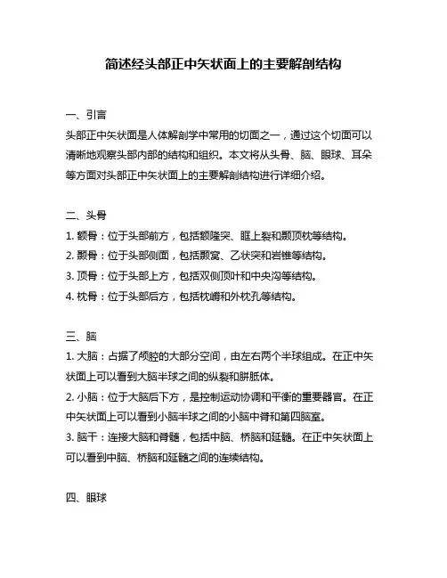 简述经头部正中矢状面上的主要解剖结构